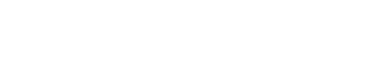 Meticulous